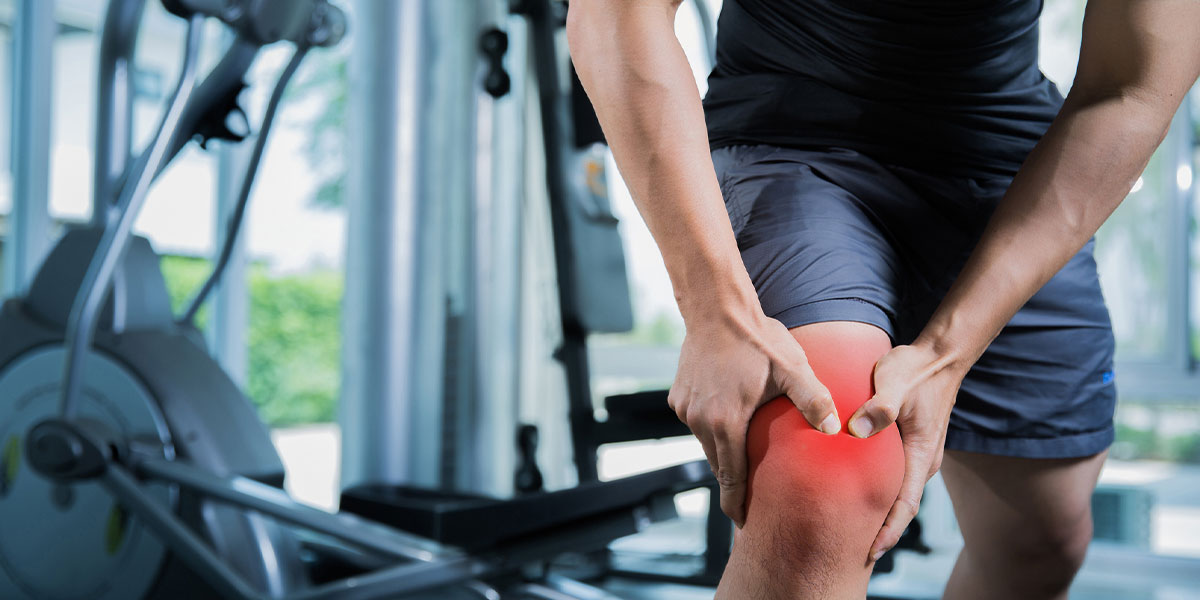 The 6 Main Knee Ligaments and How They Work